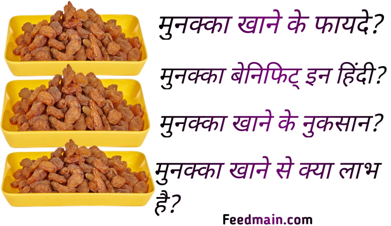 You are currently viewing मुनक्का के फायदे। मुनक्का खाने के फायदे। munakka benefits in hindi.