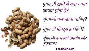 Read more about the article मूंगफली कब खाना चाहिए। moongfali peanuts in hindi.