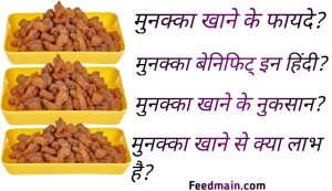 Read more about the article मुनक्का के फायदे। मुनक्का खाने के फायदे। munakka benefits in hindi.