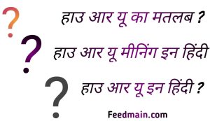 Read more about the article हाउ आर यू का मतलब। हाउ आर यू इन हिंदी। how are you in hindi.